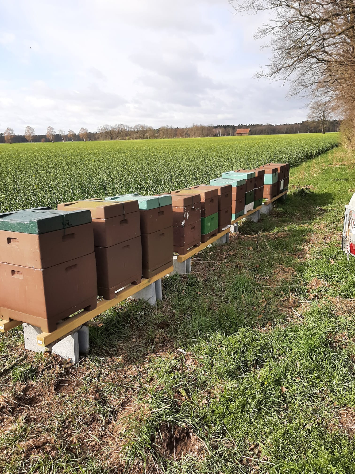 Unser Bienenstand im Grünen
